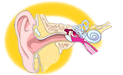 Picture of ear