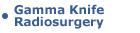 Gamma Knife Radiosurgery